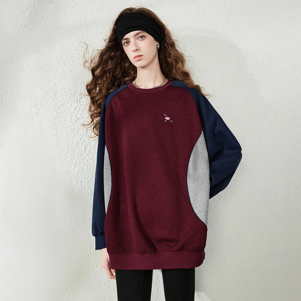 Colorblock Dog-Detail Sweatshirt