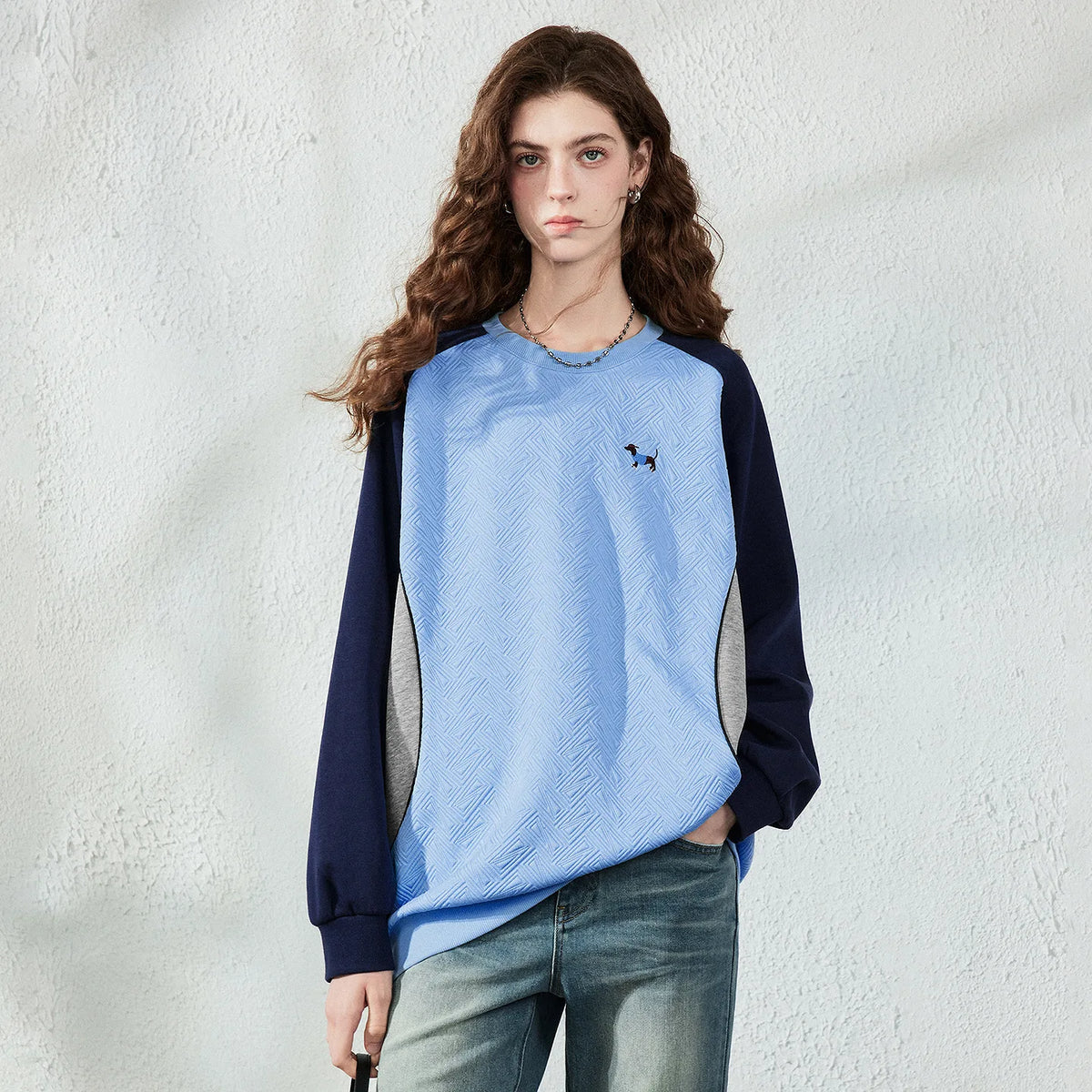 Colorblock Dog-Detail Sweatshirt